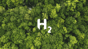 Aerial view of forest, featuring H2 hydrogen sign