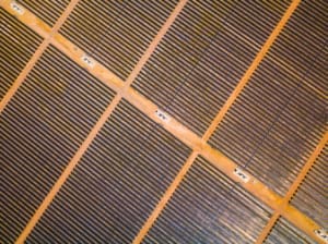 Aerial view of a solar energy farm in Queensland